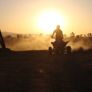 Meet your Posher, Tommy